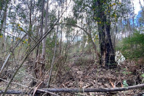 Helårsgrund i Tondela, Viseu, Tondela - € 40.000 | Ref: SF-SAFTI:006599 - foto 12
