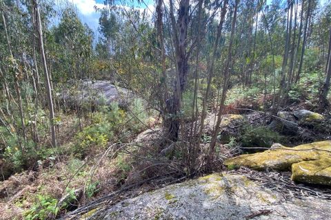 Helårsgrund i Tondela, Viseu, Tondela - € 40.000 | Ref: SF-SAFTI:006599 - foto 14