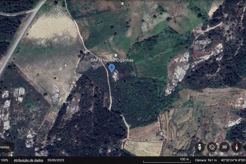 Helårsgrund i Tondela, Viseu, Tondela - € 40.000 | Ref: SF-SAFTI:006599 - foto 15