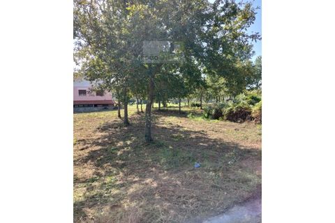 Helårsgrund i Ponte de Lima, Viana do Castelo, Ponte de Lima - € 75.000 | Ref: TER_1795 - foto 2