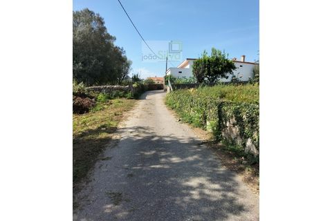 Helårsgrund i Ponte de Lima, Viana do Castelo, Ponte de Lima - € 75.000 | Ref: TER_1795 - foto 3