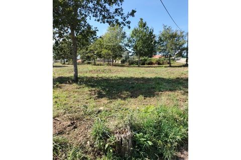 Helårsgrund i Ponte de Lima, Viana do Castelo, Ponte de Lima - € 75.000 | Ref: TER_1795 - foto 5