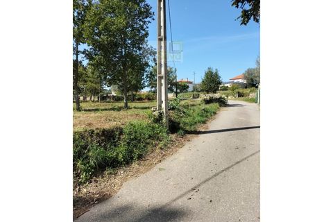 Helårsgrund i Ponte de Lima, Viana do Castelo, Ponte de Lima - € 75.000 | Ref: TER_1795 - foto 6