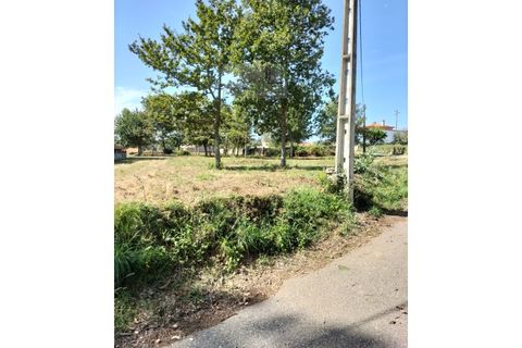 Helårsgrund i Ponte de Lima, Viana do Castelo, Ponte de Lima - € 75.000 | Ref: TER_1795 - foto 7