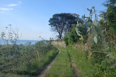 Helårsgrund i Messina, Messina, Messina - € 75.000 | Ref: AUA-8748 - foto 1