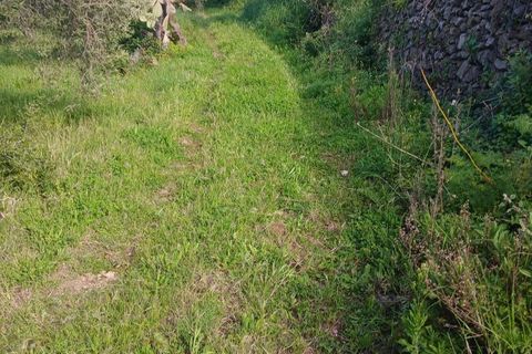 Helårsgrund i Messina, Messina, Messina - € 75.000 | Ref: AUA-8748 - foto 3