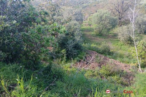 Helårsgrund i Messina, Messina, Messina - € 75.000 | Ref: AUA-8748 - foto 7
