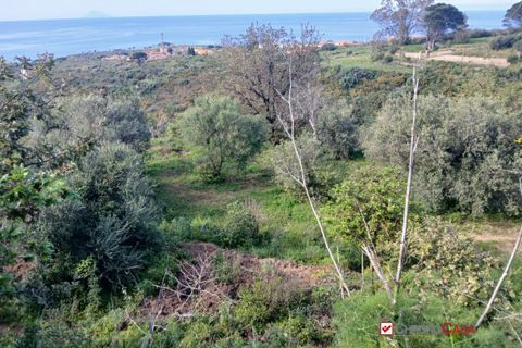 Helårsgrund i Messina, Messina, Messina - € 75.000 | Ref: AUA-8748 - foto 8