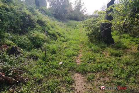 Helårsgrund i Messina, Messina, Messina - € 75.000 | Ref: AUA-8748 - foto 9