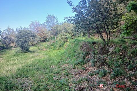 Helårsgrund i Messina, Messina, Messina - € 75.000 | Ref: AUA-8748 - foto 12
