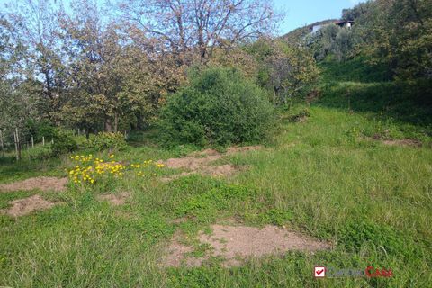 Helårsgrund i Messina, Messina, Messina - € 75.000 | Ref: AUA-8748 - foto 18