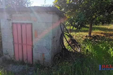 Landejendom i Rosignano Marittimo, Livorno, Rosignano Marittimo - € 118.000 | Ref: S1234 - foto 8