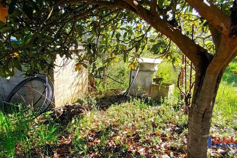 Landejendom i Rosignano Marittimo, Livorno, Rosignano Marittimo - € 118.000 | Ref: S1234 - foto 11