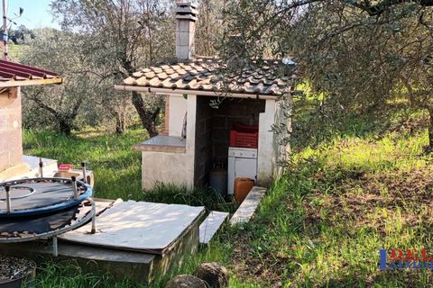 Landejendom i Rosignano Marittimo, Livorno, Rosignano Marittimo - € 118.000 | Ref: S1234 - foto 12