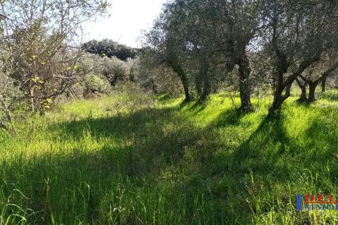 Landejendom i Rosignano Marittimo, Livorno, Rosignano Marittimo - € 118.000 | Ref: S1234 - foto 13