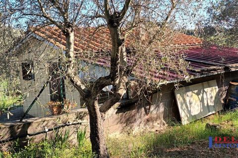 Landejendom i Rosignano Marittimo, Livorno, Rosignano Marittimo - € 118.000 | Ref: S1234 - foto 15