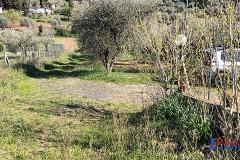 Landejendom i Rosignano Marittimo, Livorno, Rosignano Marittimo - € 118.000 | Ref: S1234 - foto 16