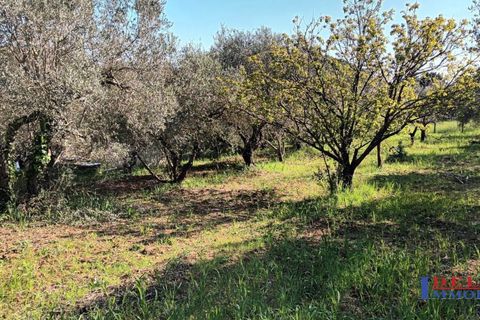 Landejendom i Rosignano Marittimo, Livorno, Rosignano Marittimo - € 118.000 | Ref: S1234 - foto 17