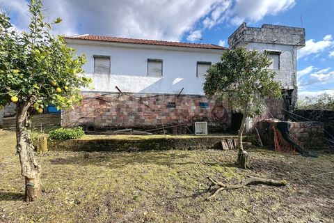 Villa i Venade e Azevedo, Viana do Castelo, Venade e Azevedo - € 120.000 | Ref: 2582 - foto 4