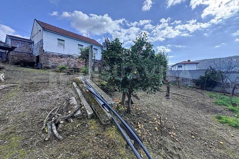 Villa i Venade e Azevedo, Viana do Castelo, Venade e Azevedo - € 120.000 | Ref: 2582 - foto 10