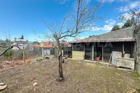 Villa i Venade e Azevedo, Viana do Castelo, Venade e Azevedo - € 120.000 | Ref: 2582 - foto 15