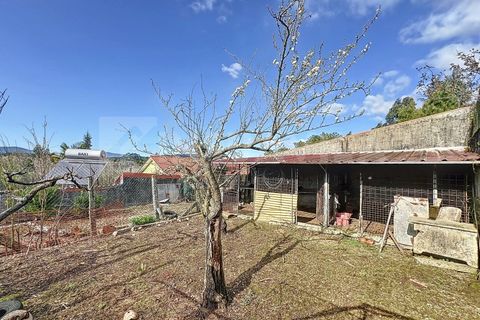 Villa i Venade e Azevedo, Viana do Castelo, Venade e Azevedo - € 120.000 | Ref: 2582 - foto 18