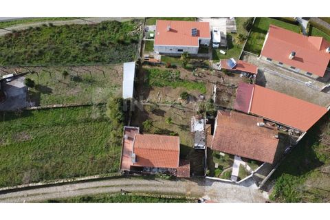 Villa i Venade e Azevedo, Viana do Castelo, Venade e Azevedo - € 120.000 | Ref: 2582 - foto 26