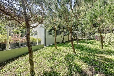 Villa i Caminha, Viana do Castelo, Caminha - € 395.000 | Ref: 2395 - foto 45