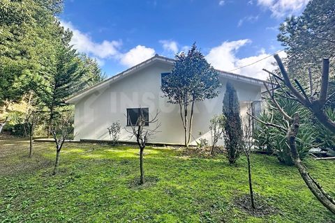 Villa i Caminha, Viana do Castelo, Caminha - € 395.000 | Ref: 2395 - foto 27