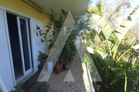Villa a Angeja, Aveiro, Angeja - € 400.000 | Ref: 1040660/25 BR - foto 11