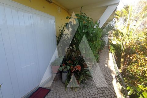 Villa a Angeja, Aveiro, Angeja - € 400.000 | Ref: 1040660/25 BR - foto 13