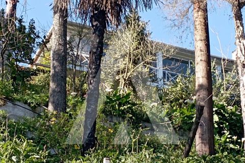 Villa a Angeja, Aveiro, Angeja - € 400.000 | Ref: 1040660/25 BR - foto 14
