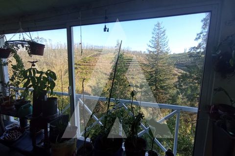 Villa a Angeja, Aveiro, Angeja - € 400.000 | Ref: 1040660/25 BR - foto 16