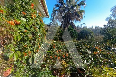 Villa a Angeja, Aveiro, Angeja - € 400.000 | Ref: 1040660/25 BR - foto 17