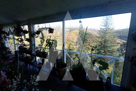 Villa a Angeja, Aveiro, Angeja - € 400.000 | Ref: 1040660/25 BR - foto 20