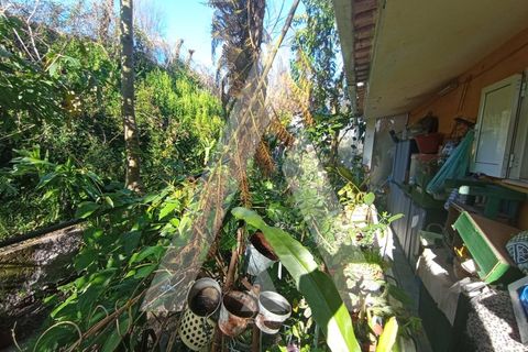 Villa a Angeja, Aveiro, Angeja - € 400.000 | Ref: 1040660/25 BR - foto 21