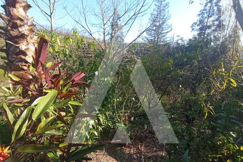 Villa a Angeja, Aveiro, Angeja - € 400.000 | Ref: 1040660/25 BR - foto 29