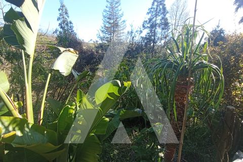 Villa a Angeja, Aveiro, Angeja - € 400.000 | Ref: 1040660/25 BR - foto 31