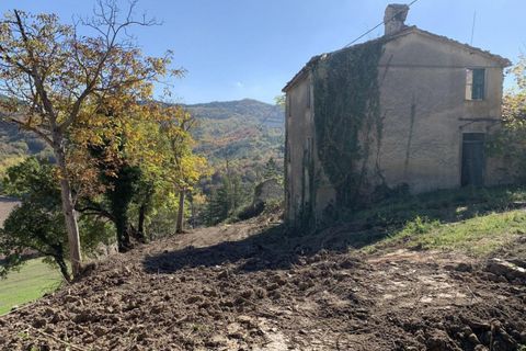 Tomt i Cagli, Pesaro and Urbino, Cagli - € 433 932 | Ref: 19969 - foto 5