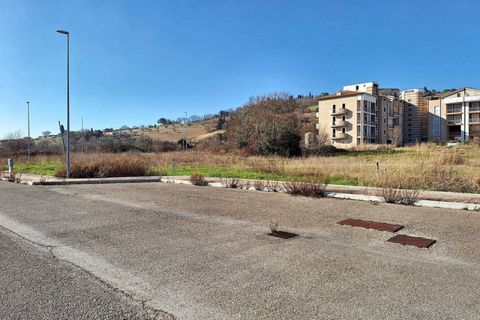 Terra a Macerata, Macerata, Macerata - € 306.915 | Ref: 22735 - foto 11