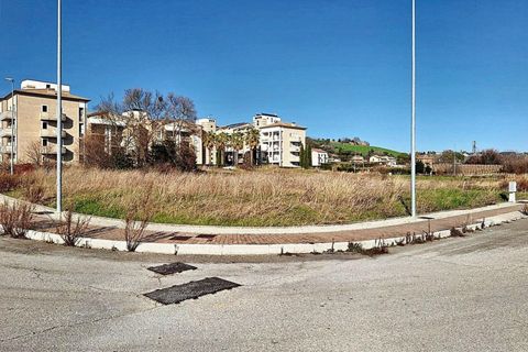 Terra a Macerata, Macerata, Macerata - € 306.915 | Ref: 22735 - foto 12