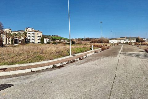 Terra a Macerata, Macerata, Macerata - € 306.915 | Ref: 22735 - foto 13
