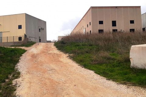 Terra a Orosei, Nuoro, Orosei - € 144.909 | Ref: 24108 - foto 5