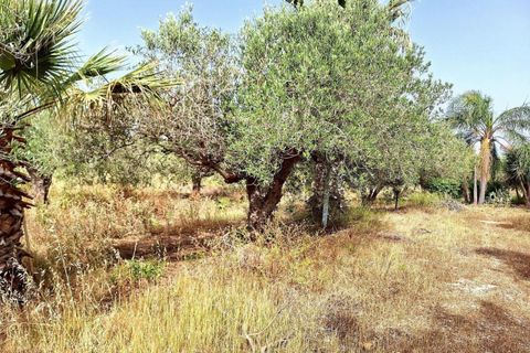 Leilighet i Trapani, Trapani, Trapani - € 541 365 | Ref: 23786 - foto 18