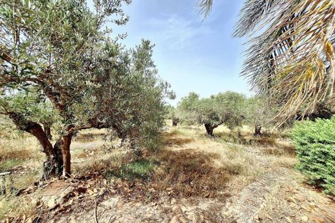 Leilighet i Trapani, Trapani, Trapani - € 541 365 | Ref: 23786 - foto 19