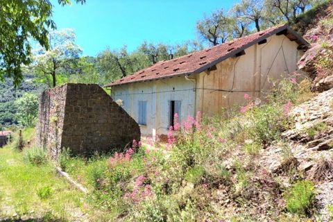 Terra a Pietrabruna, Imperia, Pietrabruna - € 121.515 | Ref: 24283 - foto 10