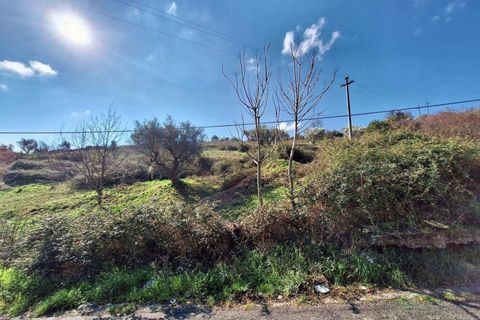 Terra a Cosenza, Cosenza, Cosenza - € 289.962 | Ref: 23362 - foto 3