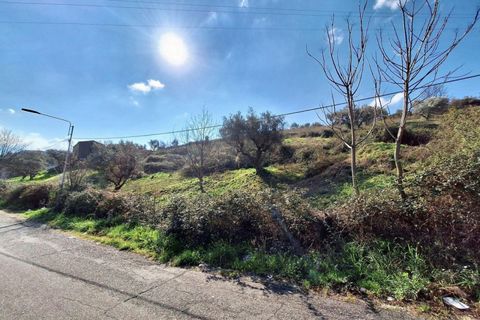 Terra a Cosenza, Cosenza, Cosenza - € 289.962 | Ref: 23362 - foto 4