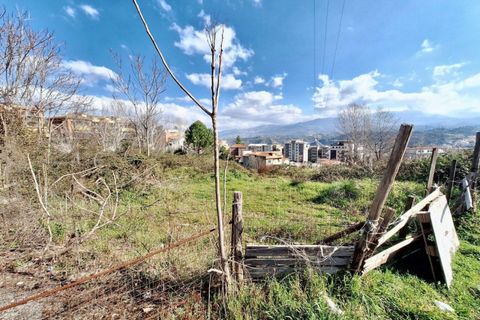 Terra a Cosenza, Cosenza, Cosenza - € 289.962 | Ref: 23362 - foto 5