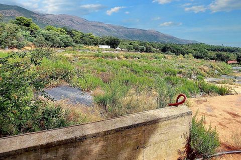 Terra a Albenga, Savona, Albenga - € 50.000 | Ref: 24371 - foto 2